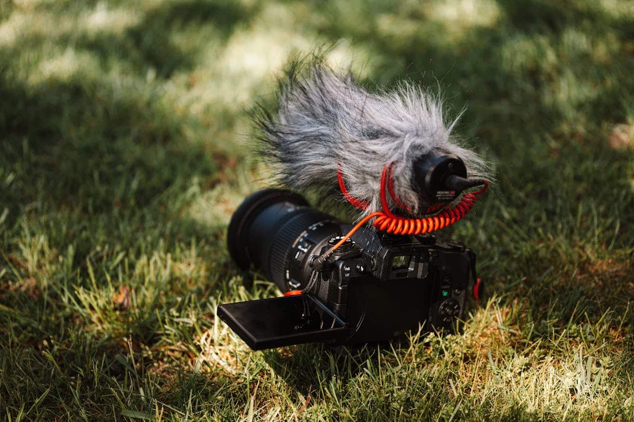 A professional photography camera sitting in the grass after taking lawn care photos.